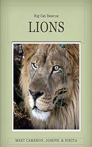 lions of big cat rescue meet lions joseph cameron and nikita Reader