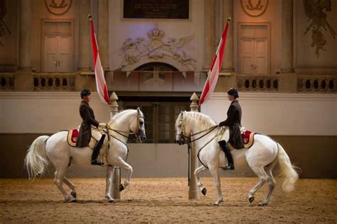 lipizzaners en de spaanse rijschool Epub