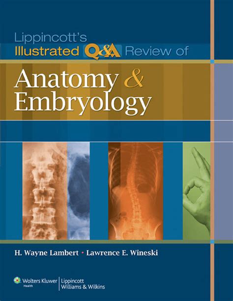lippincotts illustrated qanda review of anatomy and embryology Doc