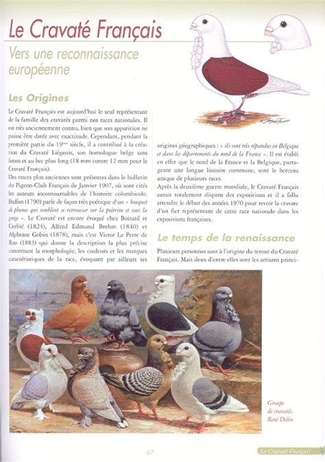 lire elements d aviaire races et PDF
