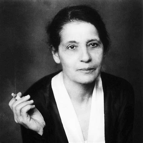 lise meitner and the atomic age unlocking the secrets of science Reader