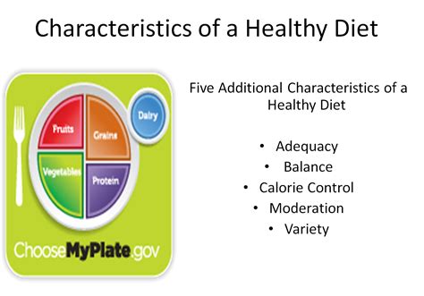 list 5 characteristics of a healthy eating