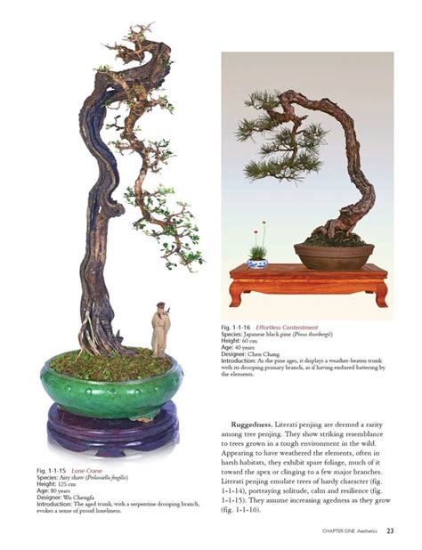 literati style penjing chinese bonsai masterworks Doc