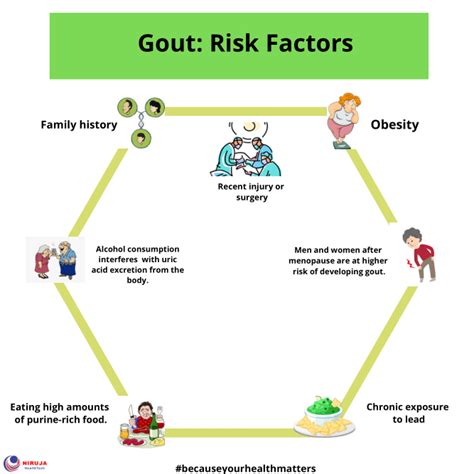 literature review on risk factor of gout Kindle Editon