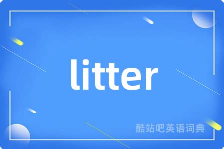 litter 中文