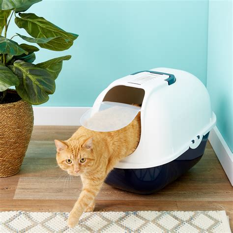 litter box for cat