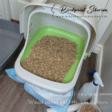 litter box with pellets