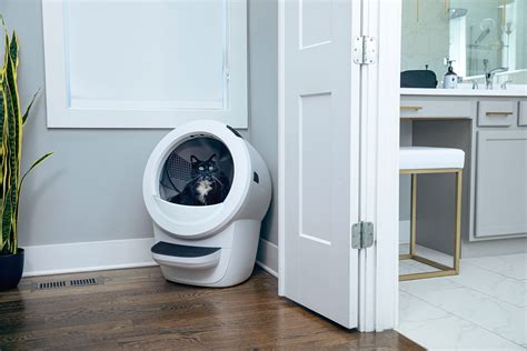 litter robot 4 reviews