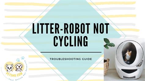 Litter Robot Not Auto Cycling