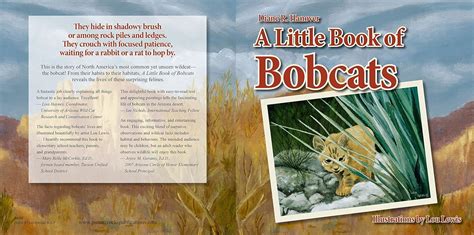 little book bobcats diane hanover Kindle Editon