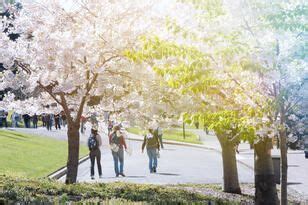 lived name uc berkeley