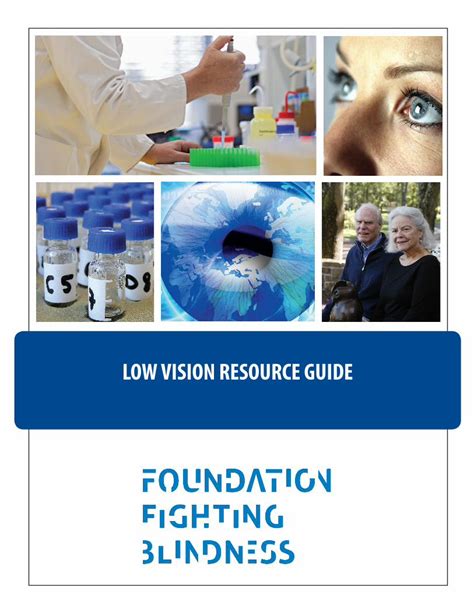 living with low vision a resource guide for people with sight loss PDF