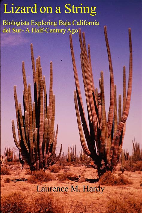 lizard on a string biologists exploring baja california del sur a half century ago Reader