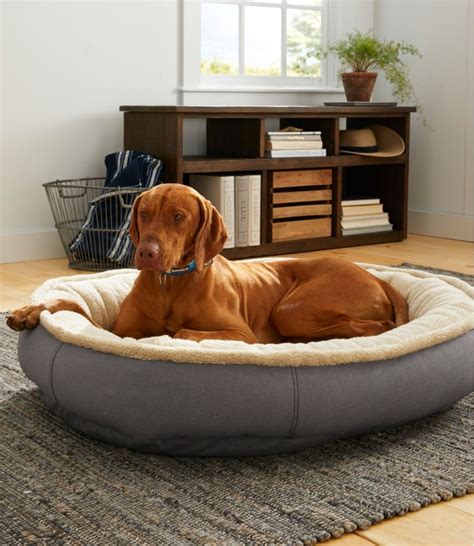 llbean dog bed