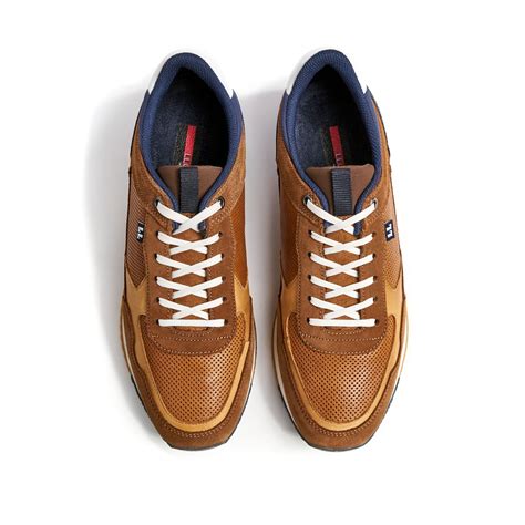 lloyd sneaker