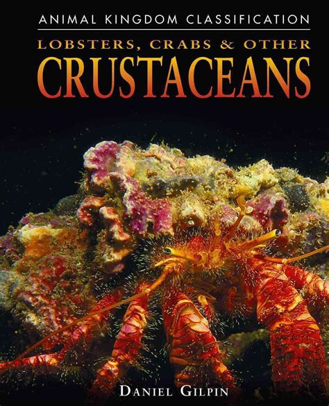 lobsters crabs and other crustaceans animal kingdom classification Reader