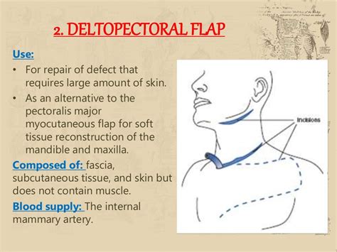 local flaps in head and neck reconstruction Doc