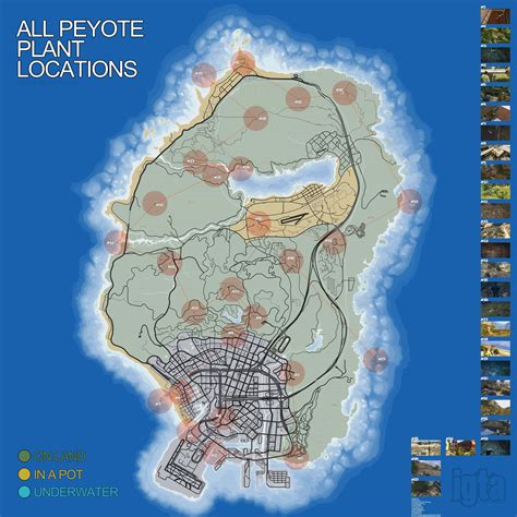 locations of peyote plants in gta 5