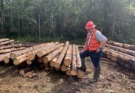 logging principles and methods of harvesting timber in the united states and canada Kindle Editon