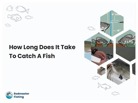 long does take catch fish Kindle Editon