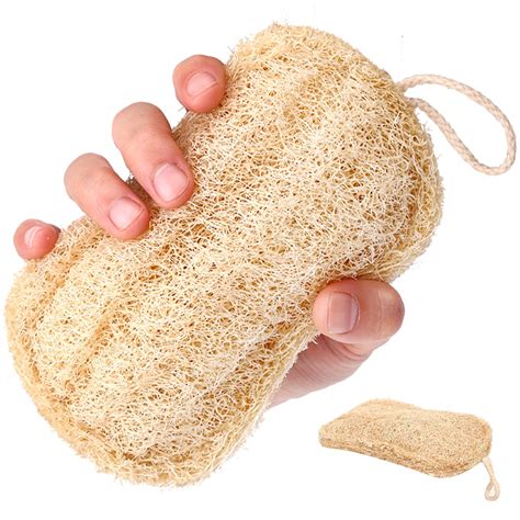 loofa sponge