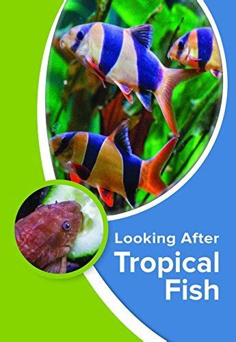 looking after tropical kevin wilson Reader