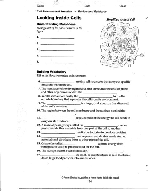 looking inside cells worksheet answers Kindle Editon