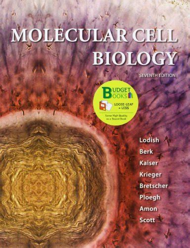 loose leaf version molecular biology principles PDF
