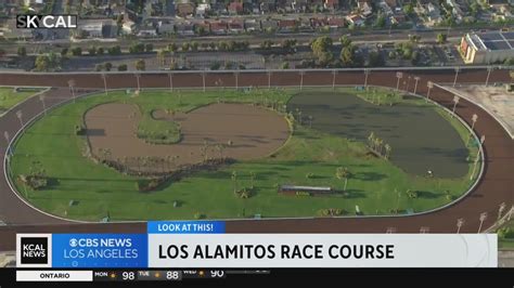 los alamitos live racing