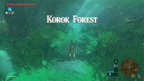 Lost Forest Botw Walkthrough