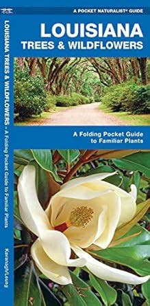 louisiana trees and wildflowers a folding pocket guide to familiar species pocket naturalist guide series Doc