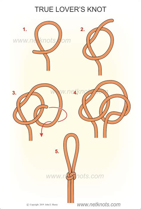 lovers knot