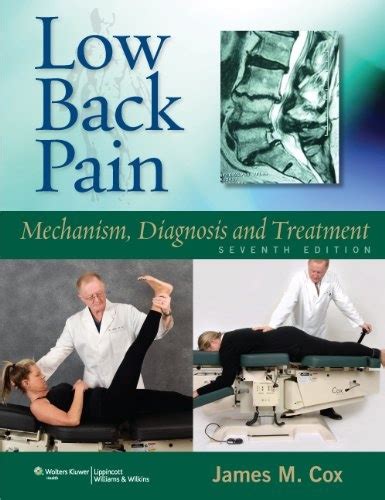 low back pain mechanism diagnosis and treatment PDF