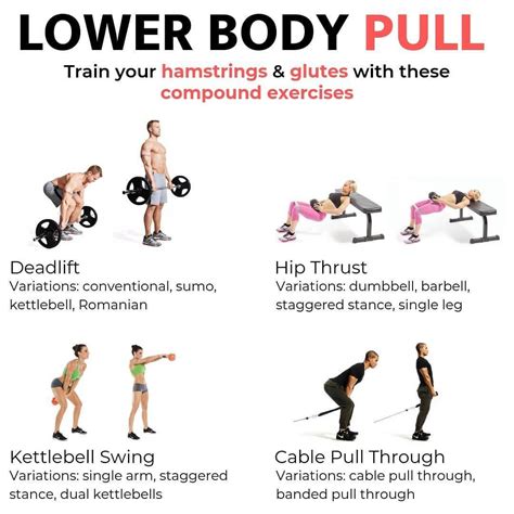 lower body pull exercises