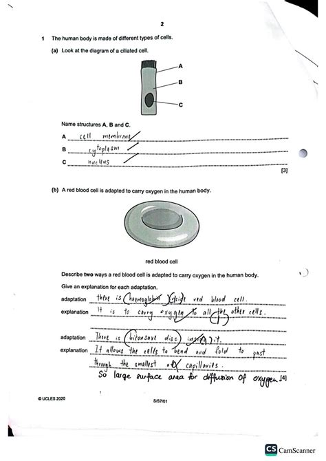 lower secondary science test papers Reader