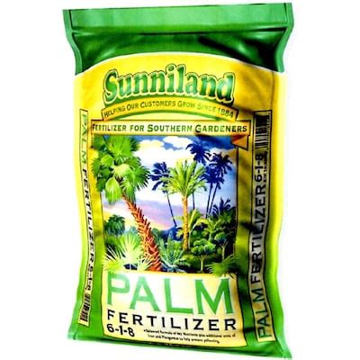 lowes palm fertilizer