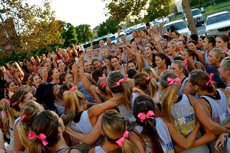 loyola marymount greek life