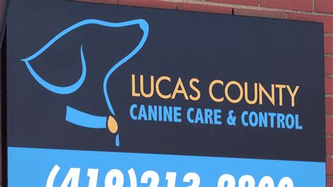 lucas county canine and care