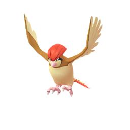 lundo pidgeotto pokemon go