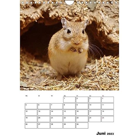 lustige tiere strickvergn gen wandkalender monatskalender PDF