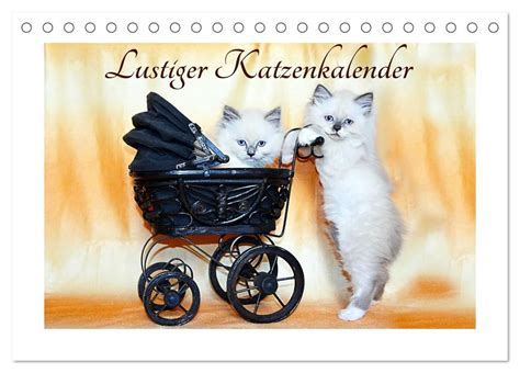 lustiger katzenkalender tischkalender 2016 quer Kindle Editon