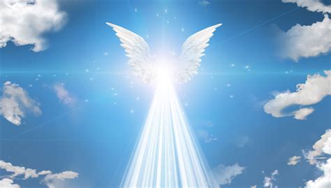luz de los angeles angels enlightening PDF