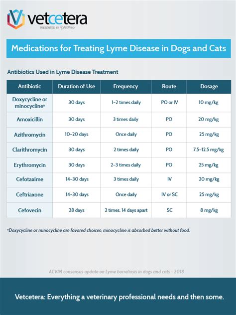 lyme disease medication for dogs