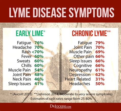 lyme disease perspectives on diseases and disorders Kindle Editon
