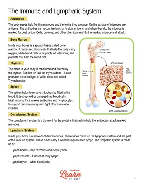 lymphatic system and immunity study guide answers Kindle Editon