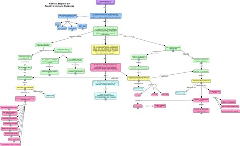 lymphatic system concept map answer key Reader