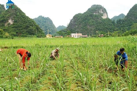 mốc 888 quang longhaj lang cao bằng