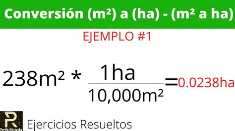 m2 a hectareas