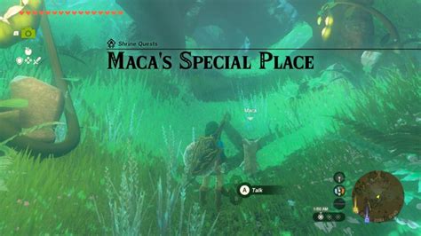 maca's special place