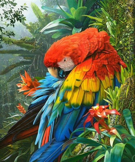 macaws amazon jewels journals pretty Doc